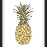 Cuadro PIÑA