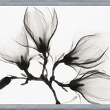 Cuadro Magnolia