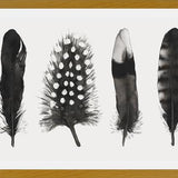 Cuadro Plumas Acuarela