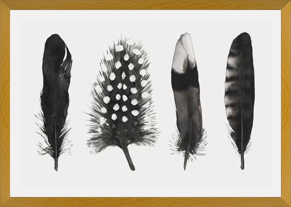 Cuadro Plumas Acuarela