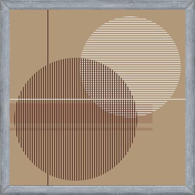 Cuadro Transparent Circles with Lines