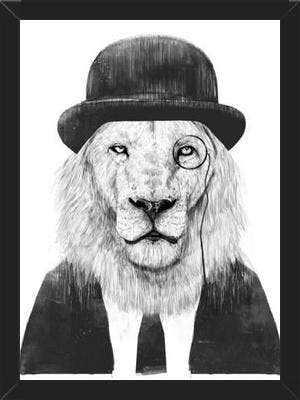 Cuadro Sir Lion