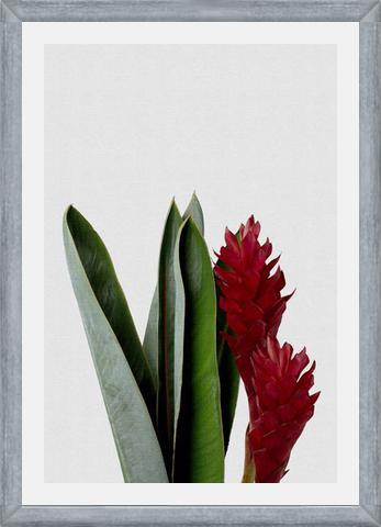 Cuadro Red Flower