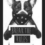 Cuadro Rebel Dog