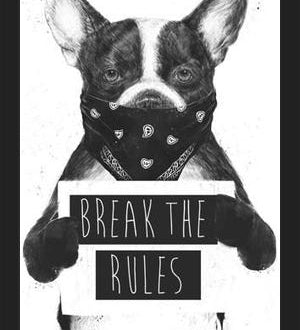 Cuadro Rebel Dog