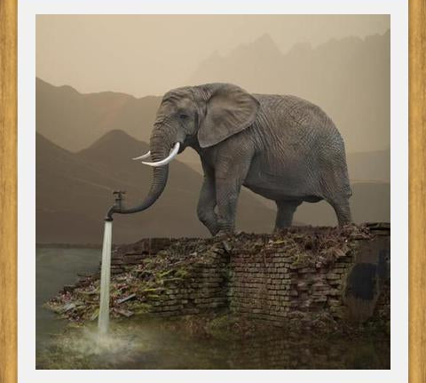 Cuadro Hydrant