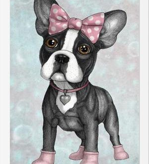 Enmarcado Sweet Frenchie
