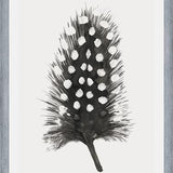 Cuadro Pluma Acuarela 4