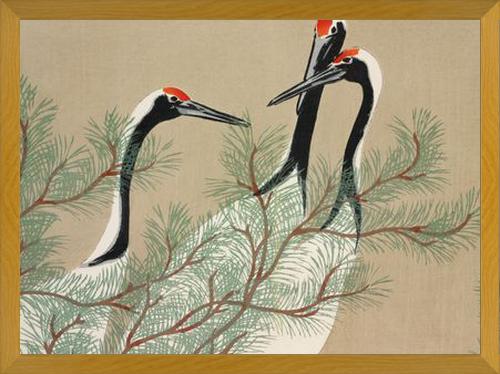 Cuadro Chinese Birds