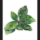 Cuadro ALBAHACA