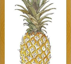 Cuadro PIÑA