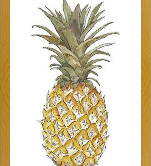 Cuadro PIÑA