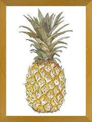 Cuadro PIÑA