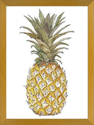 Cuadro PIÑA