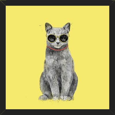 Cuadro Summer Cat