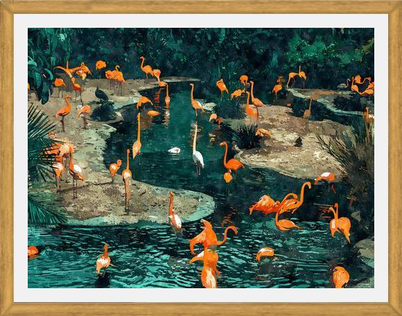 Cuadro Flamingo Creek