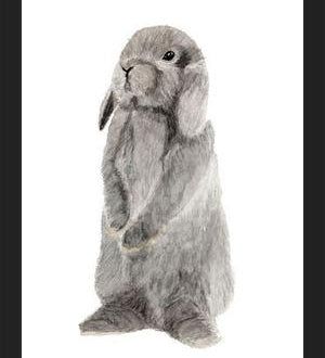 Cuadro conejito gris