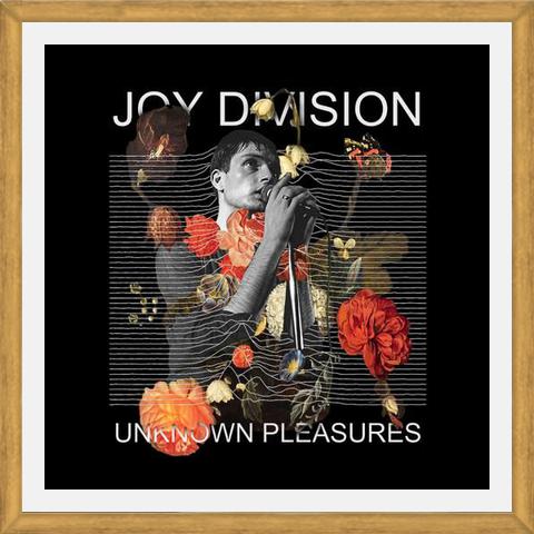 Cuadro Joy Division