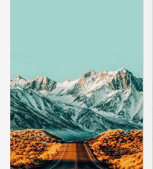 Cuadro The Road Less Traveled