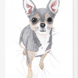 Cuadro Chihuahua