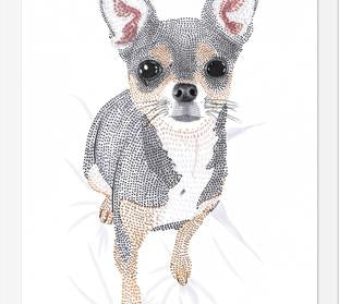 Cuadro Chihuahua