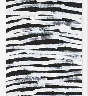 Cuadro Zebra