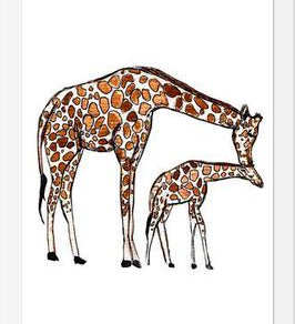 Cuadro Mama Giraffe