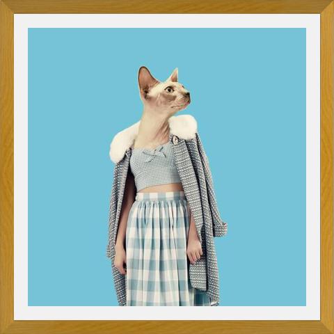 Cuadro Cat
