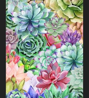 Cuadro Succulents Paradise