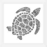 Cuadro Tortuga2