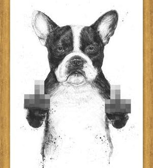 Cuadro Censored dog