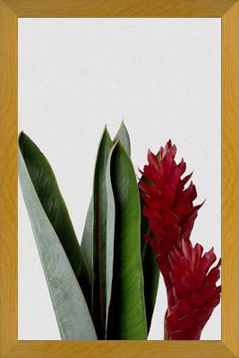 Cuadro Red Flower