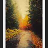 Cuadro Autumnal Landscape 3