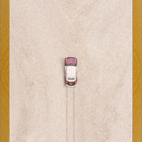 Cuadro Techo escarabajo