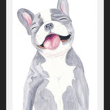 Cuadro Bulldog Frances Gris