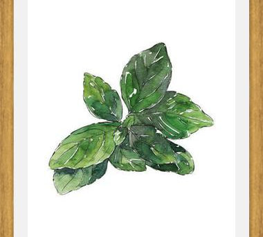 Cuadro ALBAHACA