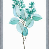 Cuadro Eucalipto 02
