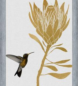 Cuadro Hummingbird and Flower I