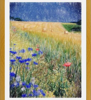 Cuadro Flowery Field