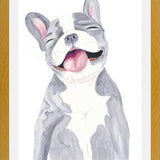 Cuadro Bulldog Frances Gris