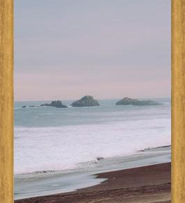 Cuadro Relajo, Constitución, 2019