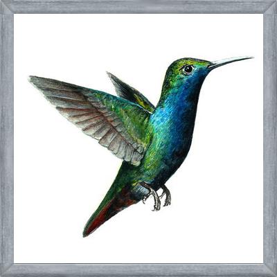 Cuadro Picaflor