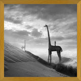Cuadro Giraffes