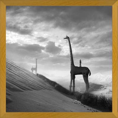 Cuadro Giraffes