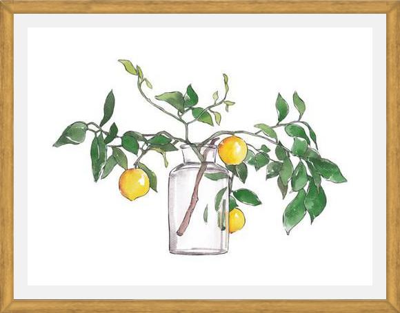 Cuadro Lemon Branch