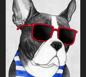 Cuadro Frenchie Summer Style