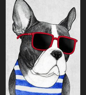 Cuadro Frenchie Summer Style