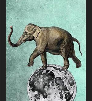 Cuadro Moon Circle