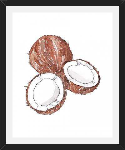 Cuadro COCONUTS
