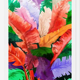Cuadro Banana Tree
